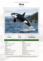 Vorschau - Arbeitsblätter - Orca Steckbrief – Lesetext, Lückentext, Weltkarte & Arbeitsblatt - Deckblatt