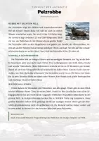 Vorschau - Arbeitsblätter - Pelzrobbe Steckbrief – Lesetext, Lückentext, Weltkarte & Arbeitsblatt - Seite 1