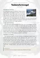 Vorschau - Arbeitsblätter - Taubensturmvogel Steckbrief – Lesetext, Lückentext, Weltkarte & Arbeitsblatt - Seite 1
