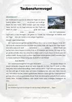 Vorschau - Arbeitsblätter - Taubensturmvogel Steckbrief – Lesetext, Lückentext, Weltkarte & Arbeitsblatt - Seite 2