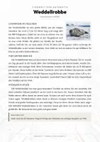 Vorschau - Arbeitsblätter - Weddellrobbe Steckbrief – Lesetext, Lückentext, Weltkarte & Arbeitsblatt - Seite 1