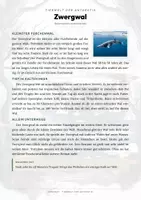 Vorschau - Arbeitsblätter - Tiere der Antarktis – 49 Tier-Steckbriefe – Sachunterricht Grundschule – Materialpaket - Seite 1