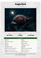 Vorschau - Arbeitsblätter - Anglerfisch Steckbrief – Lesetext, Lückentext, Weltkarte & Arbeitsblatt - Deckblatt