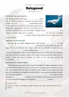 Vorschau - Arbeitsblätter - Belugawal Steckbrief – Lesetext, Lückentext, Weltkarte & Arbeitsblatt - Seite 2