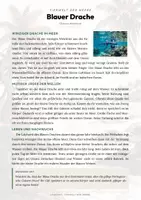 Vorschau - Arbeitsblätter - Wirbellose & Krebstiere – 27 Tier-Steckbriefe – Sachunterricht Grundschule – Materialpaket - Seite 1