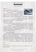 Vorschau - Arbeitsblätter - Buckelwal Steckbrief – Lesetext, Lückentext, Weltkarte & Arbeitsblatt - Seite 2