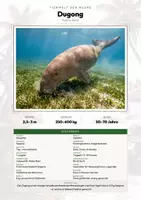 Vorschau - Arbeitsblätter - Tiere Neuseeland – 15 Steckbriefe – Sachunterricht Grundschule – Materialpaket - Deckblatt