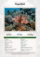 Vorschau - Arbeitsblätter - Feuerfisch Steckbrief – Lesetext, Lückentext, Weltkarte & Arbeitsblatt - Deckblatt