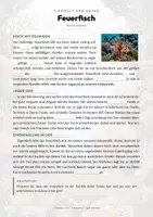 Vorschau - Arbeitsblätter - Feuerfisch Steckbrief – Lesetext, Lückentext, Weltkarte & Arbeitsblatt - Seite 2