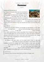 Vorschau - Arbeitsblätter - Hummer Steckbrief – Lesetext, Lückentext, Weltkarte & Arbeitsblatt - Seite 2