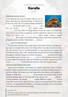 Vorschau - Arbeitsblätter - Koralle Steckbrief – Lesetext, Lückentext, Weltkarte & Arbeitsblatt - Seite 2