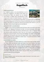 Vorschau - Arbeitsblätter - Kugelfisch Steckbrief – Lesetext, Lückentext, Weltkarte & Arbeitsblatt - Seite 1