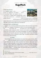 Vorschau - Arbeitsblätter - Kugelfisch Steckbrief – Lesetext, Lückentext, Weltkarte & Arbeitsblatt - Seite 2