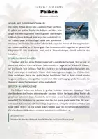 Vorschau - Arbeitsblätter - Pelikan Steckbrief – Lesetext, Lückentext, Weltkarte & Arbeitsblatt - Seite 1