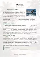Vorschau - Arbeitsblätter - Pelikan Steckbrief – Lesetext, Lückentext, Weltkarte & Arbeitsblatt - Seite 2