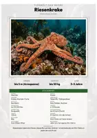Vorschau - Arbeitsblätter - Wassertiere & Tiere am Meer – 39 Tier-Steckbriefe – Sachunterricht Grundschule – Materialpaket - Seite 1