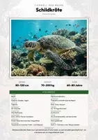Vorschau - Arbeitsblätter - Tiere Tonga – 4 Steckbriefe – Sachunterricht Grundschule – Materialpaket - Deckblatt