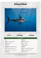 Vorschau - Arbeitsblätter - Schwertfisch Steckbrief – Lesetext, Lückentext, Weltkarte & Arbeitsblatt - Deckblatt