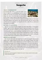 Vorschau - Arbeitsblätter - Seegurke Steckbrief – Lesetext, Lückentext, Weltkarte & Arbeitsblatt - Seite 1