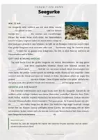 Vorschau - Arbeitsblätter - Seegurke Steckbrief – Lesetext, Lückentext, Weltkarte & Arbeitsblatt - Seite 2