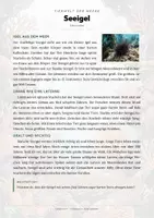 Vorschau - Arbeitsblätter - Seeigel Steckbrief – Lesetext, Lückentext, Weltkarte & Arbeitsblatt - Seite 1