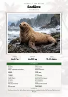 Vorschau - Arbeitsblätter - Seelöwe Steckbrief – Lesetext, Lückentext, Weltkarte & Arbeitsblatt - Deckblatt