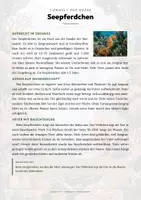 Vorschau - Arbeitsblätter - Fische der Welt – 21 Tier-Steckbriefe – Sachunterricht Grundschule – Materialpaket - Seite 2