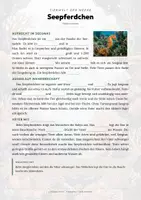 Vorschau - Arbeitsblätter - Fische der Welt – 21 Tier-Steckbriefe – Sachunterricht Grundschule – Materialpaket - Seite 3