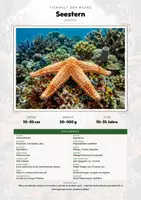 Vorschau - Arbeitsblätter - Seestern Steckbrief – Lesetext, Lückentext, Weltkarte & Arbeitsblatt - Deckblatt