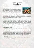 Vorschau - Arbeitsblätter - Seestern Steckbrief – Lesetext, Lückentext, Weltkarte & Arbeitsblatt - Seite 1