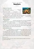 Vorschau - Arbeitsblätter - Seestern Steckbrief – Lesetext, Lückentext, Weltkarte & Arbeitsblatt - Seite 2