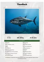 Vorschau - Arbeitsblätter - Thunfisch Steckbrief – Lesetext, Lückentext, Weltkarte & Arbeitsblatt - Deckblatt