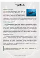 Vorschau - Arbeitsblätter - Thunfisch Steckbrief – Lesetext, Lückentext, Weltkarte & Arbeitsblatt - Seite 1