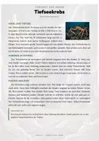 Vorschau - Arbeitsblätter - Tiefseekrebs Steckbrief – Lesetext, Lückentext, Weltkarte & Arbeitsblatt - Seite 1