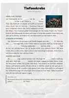 Vorschau - Arbeitsblätter - Tiefseekrebs Steckbrief – Lesetext, Lückentext, Weltkarte & Arbeitsblatt - Seite 2