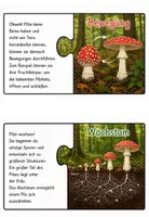 Vorschau - Arbeitsblätter - Puzzle: Sind Pilze auch Lebewesen? - Seite 2