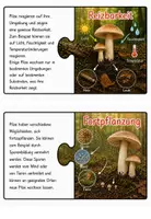 Vorschau - Arbeitsblätter - Puzzle: Sind Pilze auch Lebewesen? - Seite 3