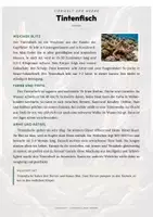 Vorschau - Arbeitsblätter - Tintenfisch Steckbrief – Lesetext, Lückentext, Weltkarte & Arbeitsblatt - Seite 1