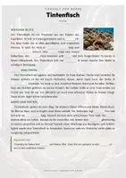 Vorschau - Arbeitsblätter - Tintenfisch Steckbrief – Lesetext, Lückentext, Weltkarte & Arbeitsblatt - Seite 2