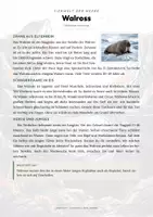 Vorschau - Arbeitsblätter - Walross Steckbrief – Lesetext, Lückentext, Weltkarte & Arbeitsblatt - Seite 1