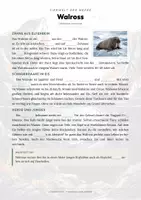 Vorschau - Arbeitsblätter - Walross Steckbrief – Lesetext, Lückentext, Weltkarte & Arbeitsblatt - Seite 2