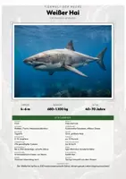 Vorschau - Arbeitsblätter - Wassertiere & Tiere am Meer – 39 Tier-Steckbriefe – Sachunterricht Grundschule – Materialpaket - Deckblatt
