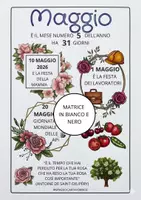 anteprima - Flashcard - MAGGIO MESE INFOGRAFICA DA COLORARE SPASSOCARTAFORBICE - Pagina di copertina