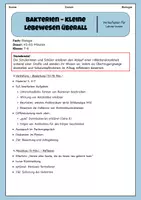 Vorschau - Stundenentwürfe - Bakterien - Aufbau, Vermehrung & Antibiotika | Unterrichtsreihe "Immunsystem & Gesundheit", Biologie 7.-8. Klasse - Seite 2