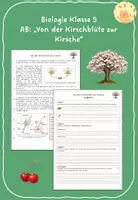 Vorschau - Arbeitsblätter - AB: Von der Kirschblüte zur Kirsche - Deckblatt