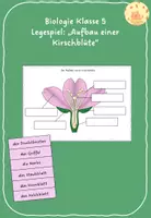 Vorschau - Mal- und Bastelvorlagen - Legespiel "Aufbau einer Kirschblüte" - Deckblatt