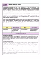 Vista previa - Hojas de trabajo - Coneixem i produïm diferents tipologies textuals Cicle Superior - página 1