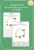 Vorschau - Arbeitsblätter - Vom Samen zur Frucht - Lebenszyklus des Apfels - Deckblatt