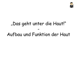 Vorschau - Stundenentwürfe - Sinnesorgane (Auge, Ohr, Haut) - 3 Fertige Unterrichtsstunden | sofort einsetzbar mit Präsentation, Arbeitsblättern und Lösungen | Biologie Sek I - Seite 3