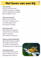 Voorbeeld - Lezen - klassikale leesteksten lente - Pagina 2